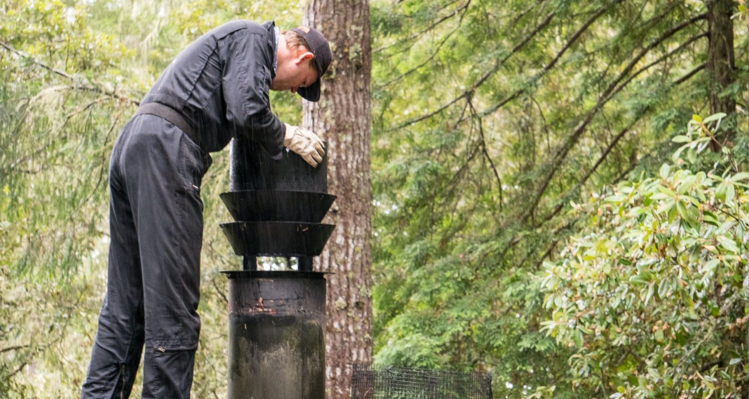 chimney inspection